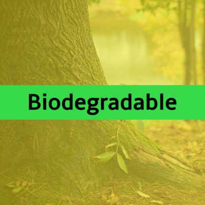 Biodegradable Envelopes